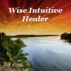 wise intuitive healer cd